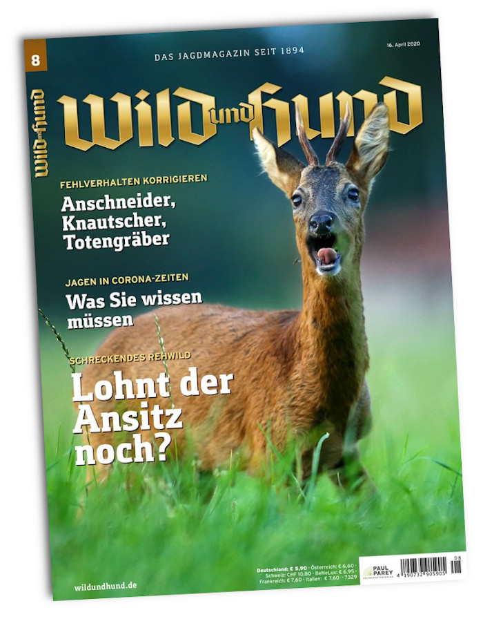 Das Cover der Zeitschrift Wild und Hund