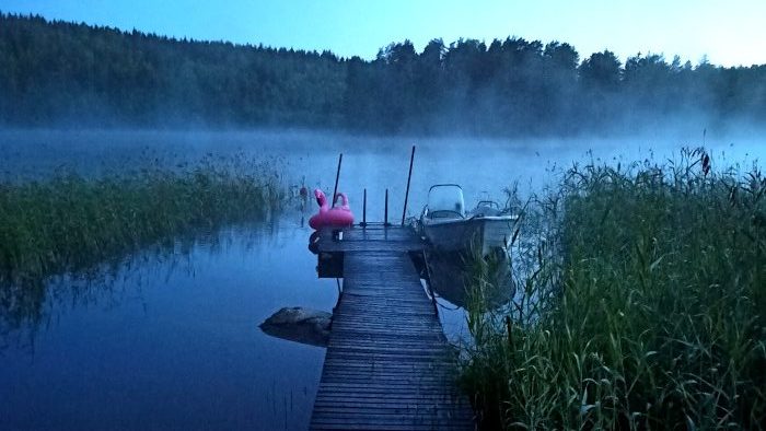 Ein See in Schweden mit einem Boot und einem Flamingo darauf im Nebel