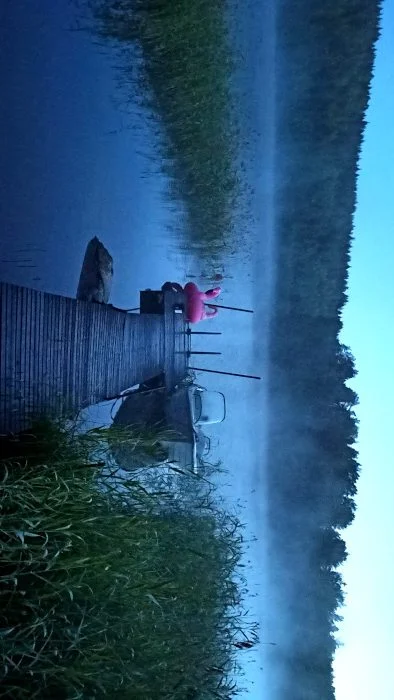 Ein See in Schweden mit einem Boot und einem Flamingo darauf im Nebel