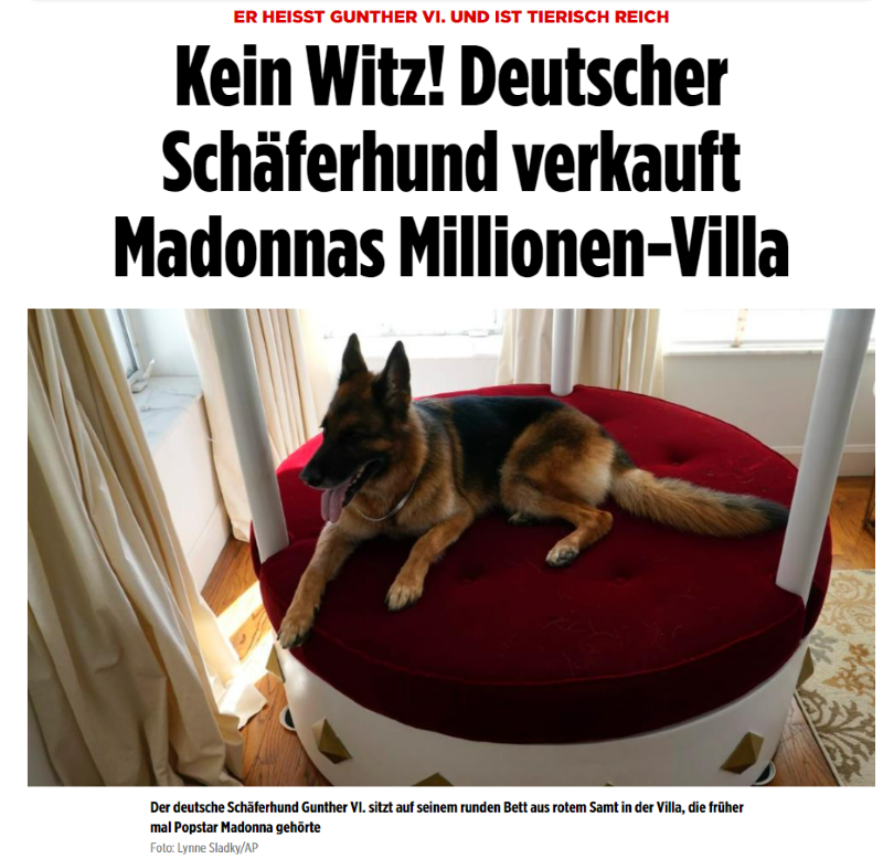 Bild-Schlagzeile: "Kein Witz! Deutscher Schäferhund verkauft Madonnas Millionen-Villa"
