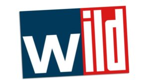 erfundenes "wild"-Logo aus "welt" und "Bild"-Logos