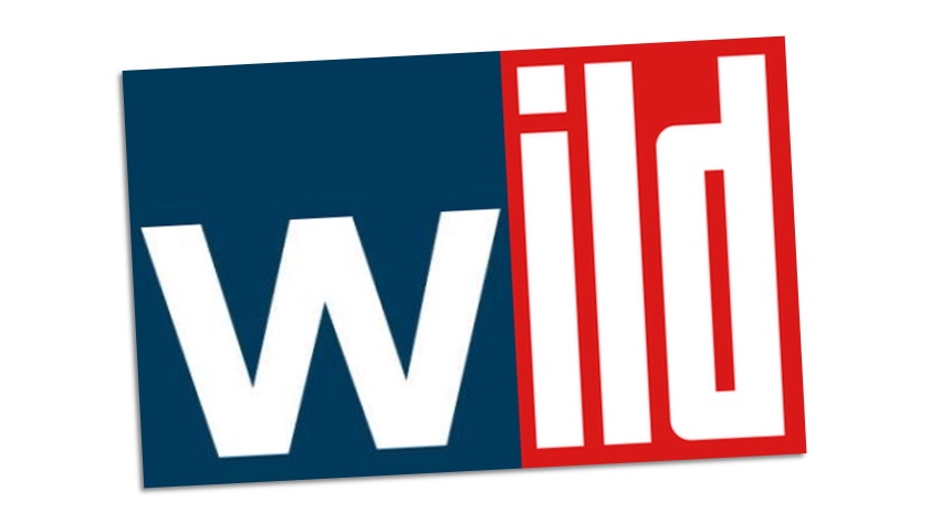 erfundenes "wild"-Logo aus "welt" und "Bild"-Logos