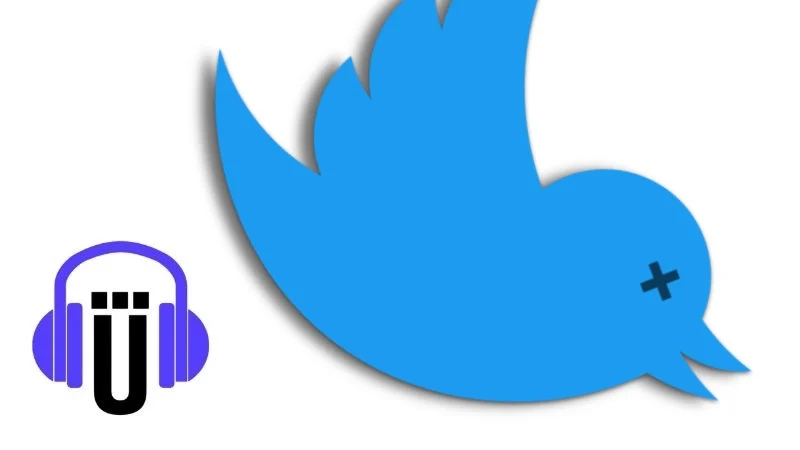 Abstürzender Twitter-Vogel