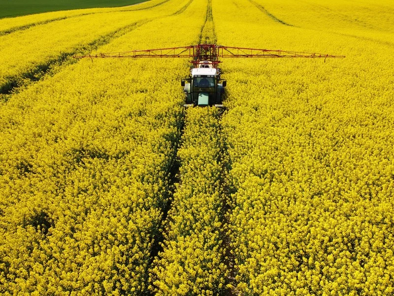Rapsfeld mit Trecker