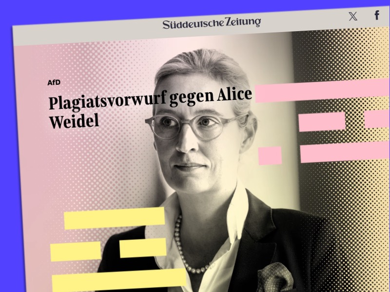 Plagiatsvorwurf gegen Alice Weidel