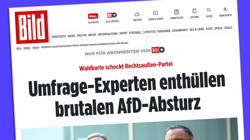 Umfrage-Experten enthüllen brutalen AfD-Absturz