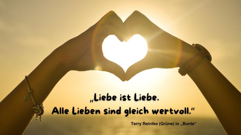 Hände die vor der Sonne ein Herz formen mit einem Zitat von Terry Reintke: „Liebe ist Liebe. Alle Lieben sind gleich wertvoll.“