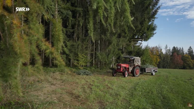 Ein Traktor mit Anhänger im Schwarzwald