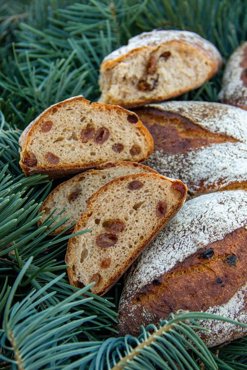 Weihnachtsbrot mit Sultaninen auf Tannenzweigen