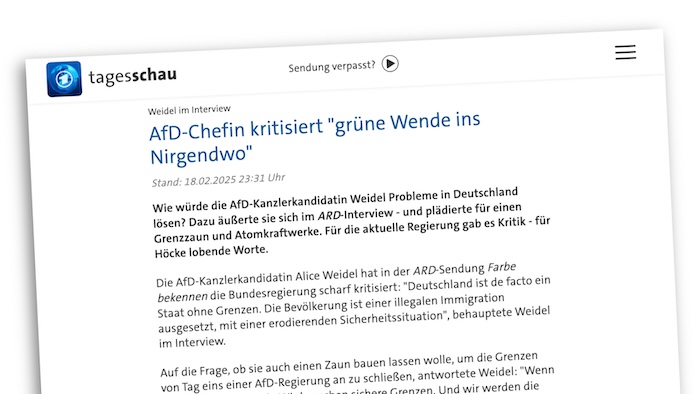 Screenshot des "Tagesschau"-Beitrags mit der Überschrift: „AfD-Chefin kritisiert ,grüne Wende ins Nirgendwo’“.