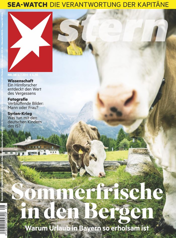 "Stern"-Cover mit Kuh und transparentem Schriftzug