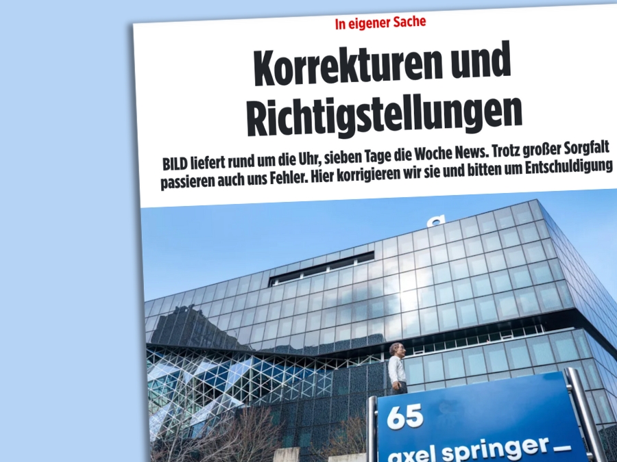 Screenshot der Korrekturenseite bei Bild.de