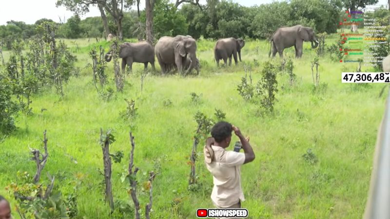 IShowSpeed mit Elefanten in Botswana
