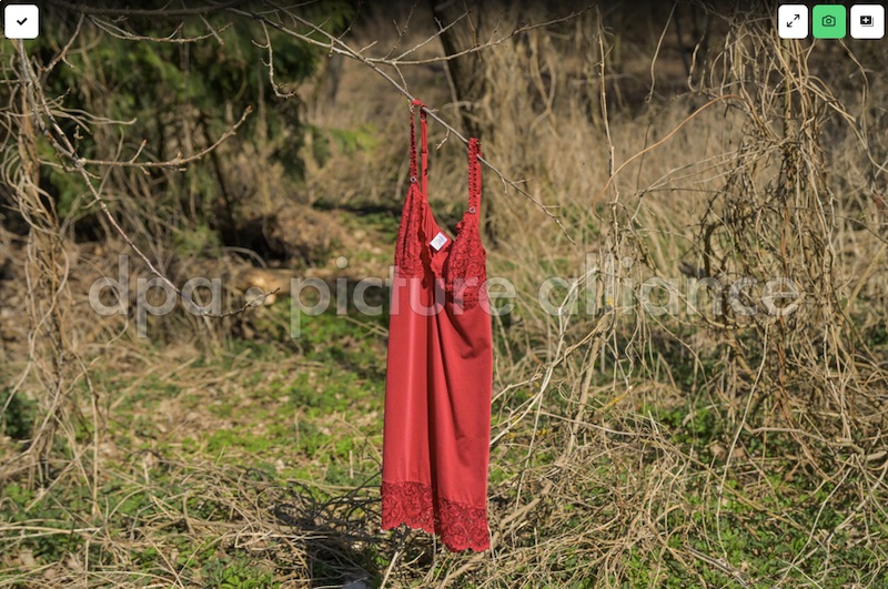 Foto eines roten Negligés, das an einem Baum hängt.
