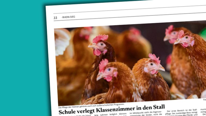 Foto von Hühnern und Überschrift: „Schule verlegt Klassenzimmer in den Stall“