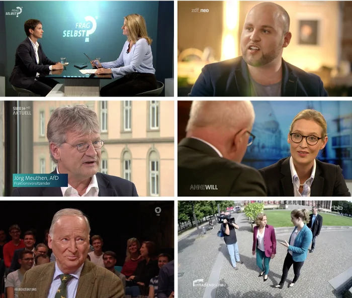 Sechs kleine TV-Bilder, die jeweils AfD-Politiker in Interviews zeigen.