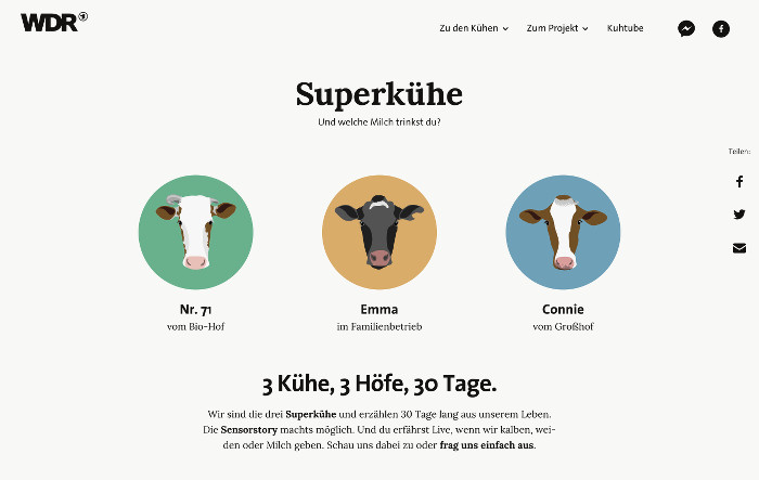 Screenshot einer WDR-Seite mit dem Titel "Superkühe": Zu sehen sind die gezeichneten Konterfeis dreier Kühe